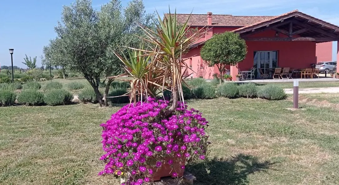 Il Casale di Giulia di Aprilia-1